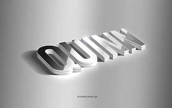 Quinn, silver 3d art, gray background, with names, Quinn name, Quinn greeting card, 3d art, with Quinn name HD wallpaper