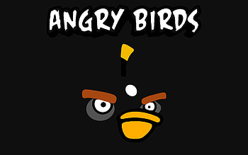 Angry Birds, Vibrant feathers, Fowl fun, Bird HD wallpaper