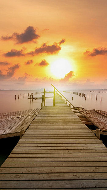 Stunning sunrise, , Golden hues, Morning beauty HD phone wallpaper