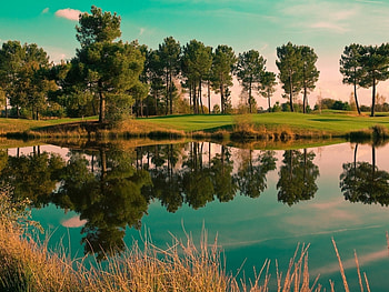Landscape, Nature, Trees, Lakes HD wallpaper