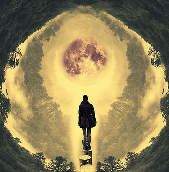 Art, Miscellanea, Miscellaneous, Forest, Planet, Loneliness, Lonely, Alone HD phone wallpaper
