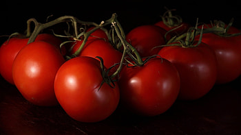 Tomato collection, Visual variety, , backgrounds HD wallpaper