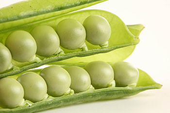 Food, Section, White Background, Peas, Pea, Incision, Legumes HD wallpaper