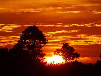 beautiful sunset, clouds, trees, nature, sunset HD wallpaper