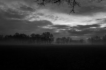 Landscape, Trees, Dark, Fog, Bw, Chb HD wallpaper