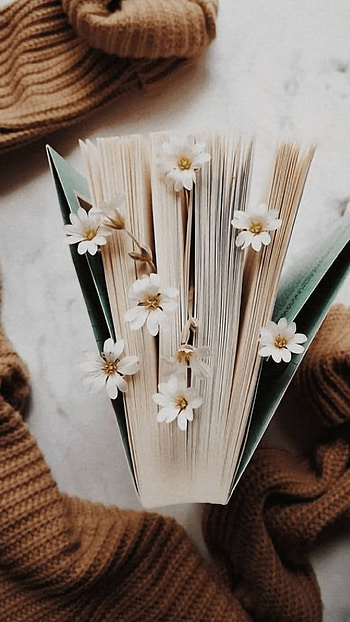 Book, hardwood, petal HD phone wallpaper