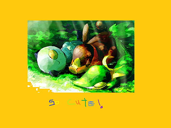 Sleeping, tepig, oshawott, snivy, sleep HD wallpaper
