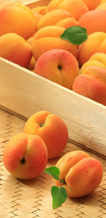 Apricot, Refreshing flavor, Sun-kissed, Tropical aroma HD phone wallpaper
