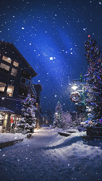 Christmas night, sky, world HD phone wallpaper
