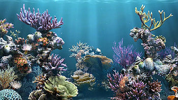 Fish Aquarium For Mobile : Fish tank backgrounds u2013 craft HD wallpaper