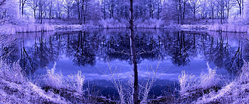 ✰Horizontal of Lake Infrared✰, shadow, plants, waterscape, graphy, colors, wonderful, reflections, scenery, scenic, trees, amazing, sweet, smooth, splendidly, miracle, magnificent, infrared, beautiful, lakes, leaves, pretty, light, love, cool, view, clouds, nature, sky, lovely, splendor, horizonal HD wallpaper