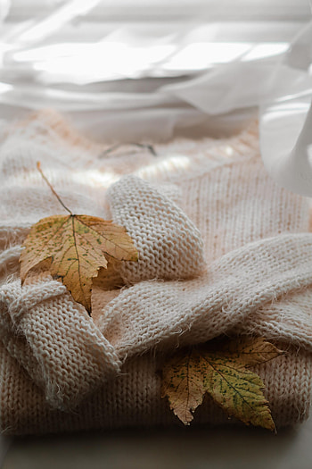 Autumn, Miscellanea, Miscellaneous, Sheet, Leaf, Maple, Sweater HD phone wallpaper
