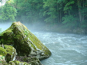 Nature, Rock, Stone, Moss, Mountain River, Adygea HD wallpaper