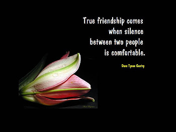 TRUE WORDS, quote, gorgeous, beautiful, a HD wallpaper