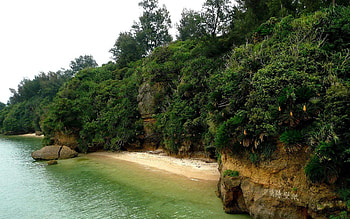 Nature, Mountains, Coast, Vegetation, Island, Equator HD wallpaper