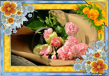 PRETTY PINK ROSES, FLOWERS, ROSE, , PINK HD wallpaper