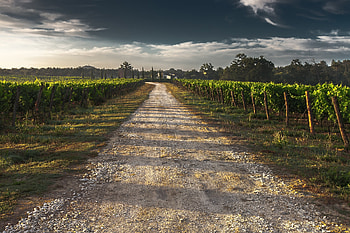 Nature, Sky, Road, Field, Shadow HD wallpaper