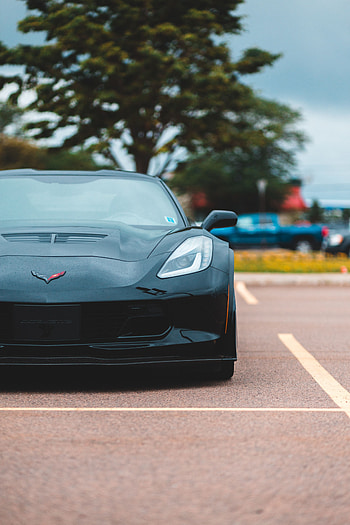 Sports, Cars, Car, Front View, Machine, Sports Car, Chevrolet Corvette HD phone wallpaper