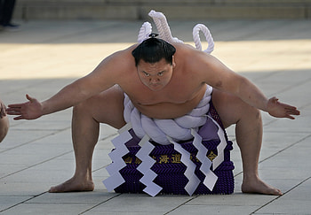 Hakuho Sho, Sumo HD wallpaper
