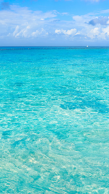 Cozumel: Snorkeling tour, Beautiful beaches, Paradise, Cozumel HD phone wallpaper