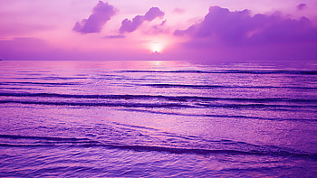 Purple Sunset , sunset, nature HD wallpaper