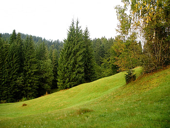 Landscape, Nature HD wallpaper