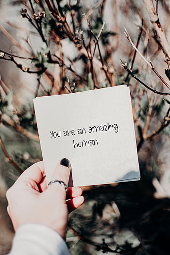 Hand holding an inspirational quote card against a natural backdrop outdoors. HD phone wallpaper