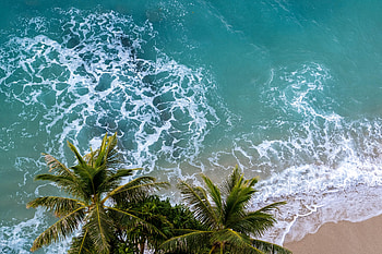 Nature, Sea, Beach, View From Above, Palm HD wallpaper
