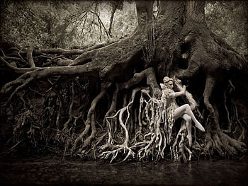 LIVING TOGETHER IN HARMONY.., white, black, life, fantasy, living, lake, woman, tree HD wallpaper
