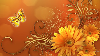 Fall Flowers - flower fantastic fall floral autumn flowers butterfly gold gerbera HD wallpaper