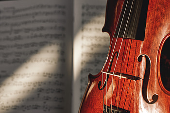 Viola music, Best viola strings, Personal favorites, Strings guide HD wallpaper