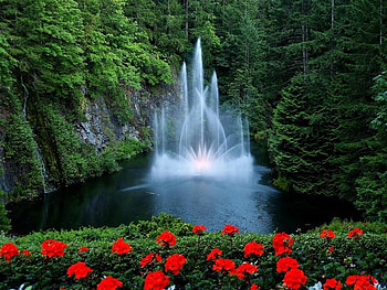 Fountain in Lake, view, beautiful HD wallpaper