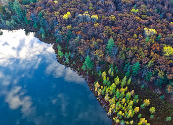 Aerial View From Top Trees , aerial, river, nature, trees HD wallpaper