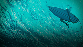 The Shallows (2022) movie HD wallpaper