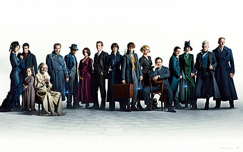 Newt, Fantastic Beasts, Movies, Grindelwald HD wallpaper