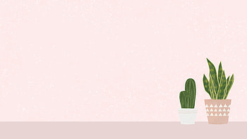Aesthetic Pastel Minimalist HD wallpaper
