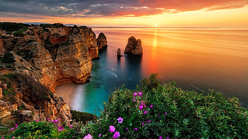 The bay of dream, wildflowers, reflection, bay, sky, rocks, dream, sunset, beach HD wallpaper