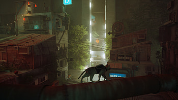 The slums, game, stray, cat, straycatgame HD wallpaper