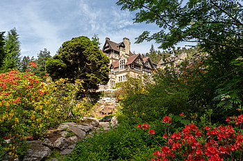 Plants, Flowers, Trees, Architecture, Miscellanea, Miscellaneous, House, Path, Trail HD wallpaper
