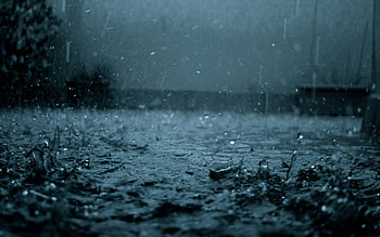 Rain HD wallpaper