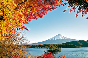Japan, Mount Fuji, Fujiyama, , Colors, Fall, Leaf, Volcanoes HD wallpaper