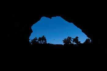 Nature, Sky, Bush, Bird, Cave HD wallpaper