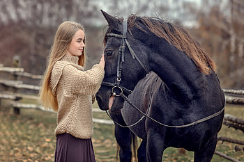 Pretty Blonde and her Horse, horse, model, sweater, blonde HD wallpaper
