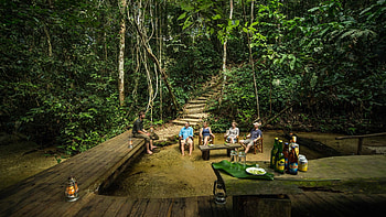 Republic of the Congo, Odzala gorilla safaris, Safarifrank, Congo HD wallpaper