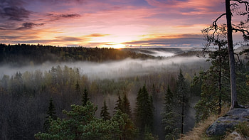 Noux National Park, Finland HD wallpaper