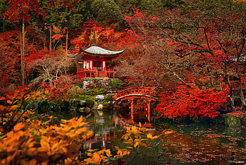 Religious, Japan, Daigo Ji, Kyoto, Nature, Bridge, Fall, Pagoda, Temples HD wallpaper