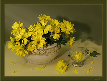 Yellow florish, glass, flowers, ywllow, petals HD wallpaper