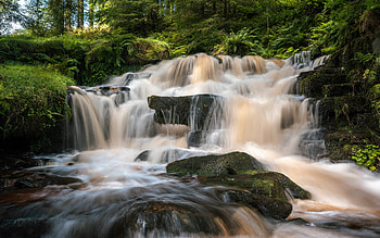 waterfall, jungle, mountains, green forest, mountain river, mountain waterfall, evening HD wallpaper