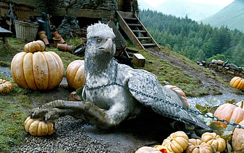 Buckbeak, Saving two lives HD wallpaper