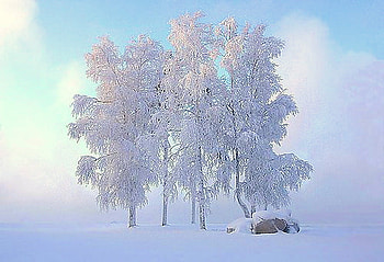 Crystals, blue sky, white, ice crystals, snow, branches, tree HD wallpaper